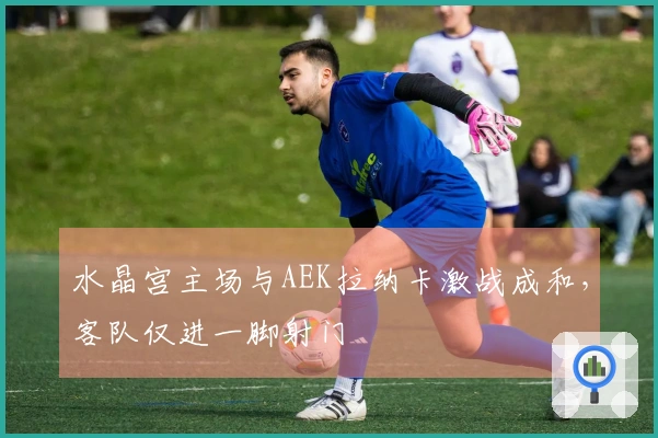 水晶宫主场与AEK拉纳卡激战成和，客队仅进一脚射门